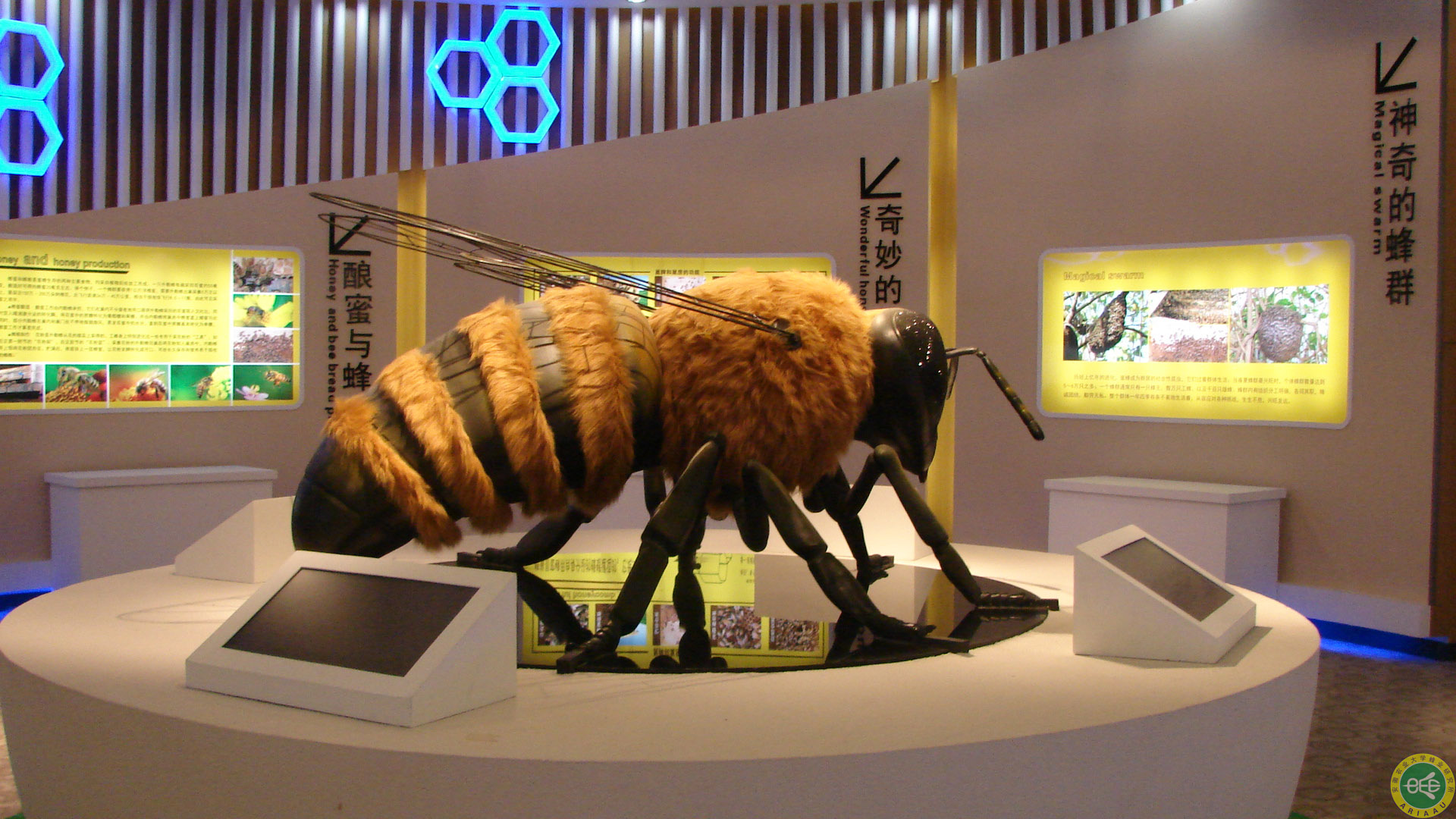 探访中国蜜蜂博物馆：蜜蜂文化的千年传承_北京